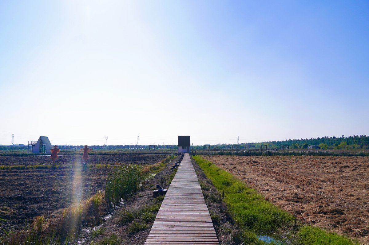 Martin Porath tweet media