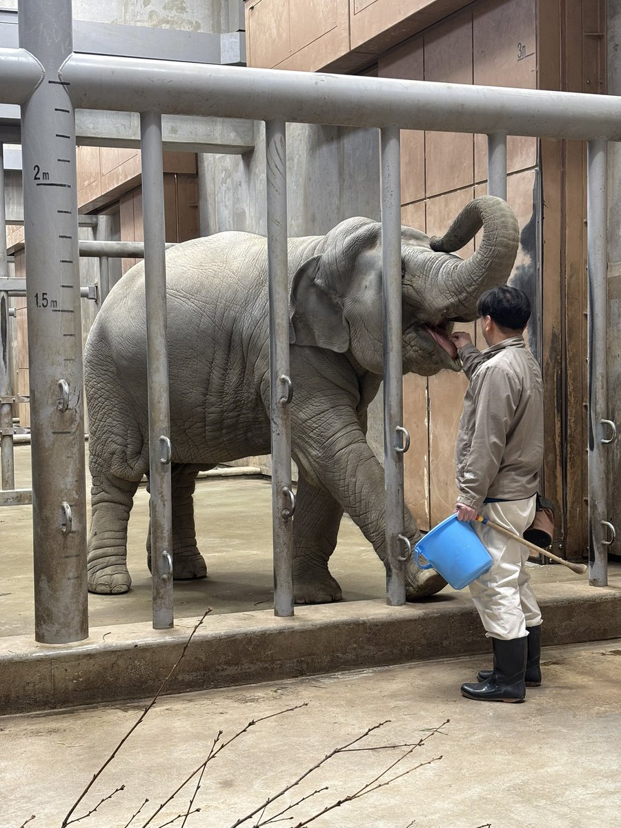 MASA@テスラModel3 tweet media