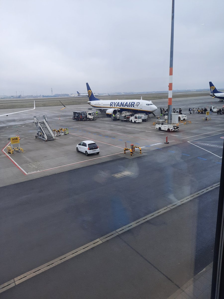 Seb Kowalke tweet media