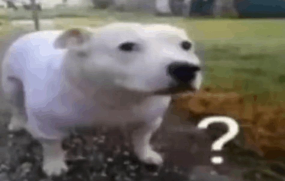 ∘₊✧Angel!✧₊∘ tweet media