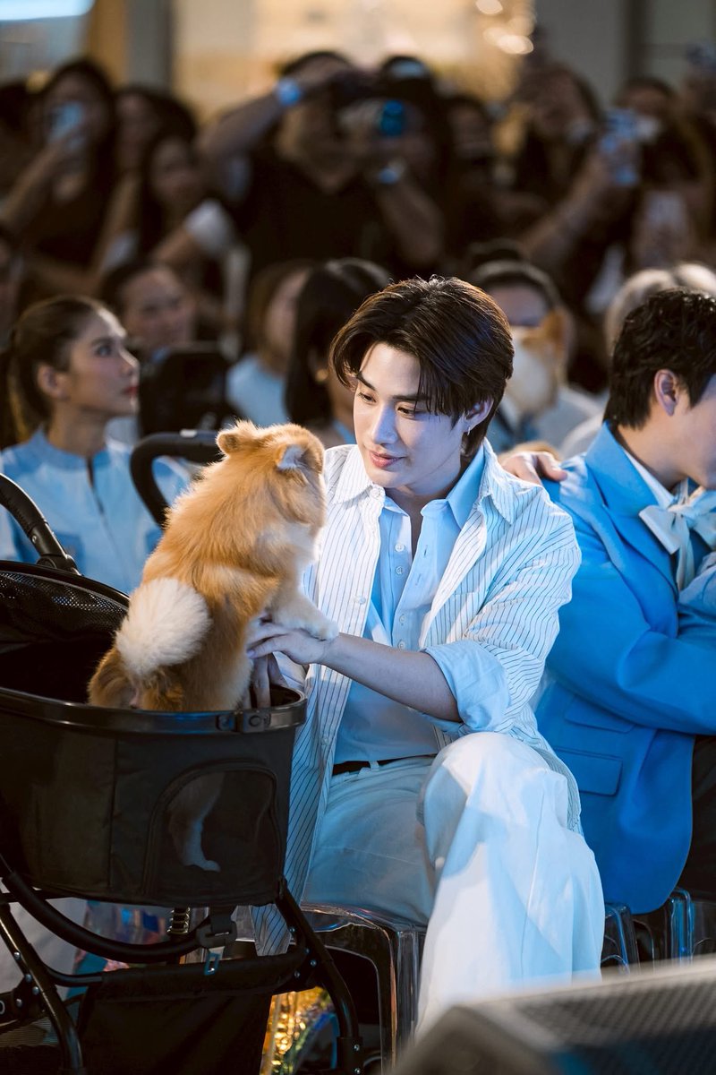 ps ૮ ․ ․ ྀིა tweet media