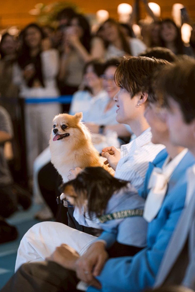 ps ૮ ․ ․ ྀིა tweet media