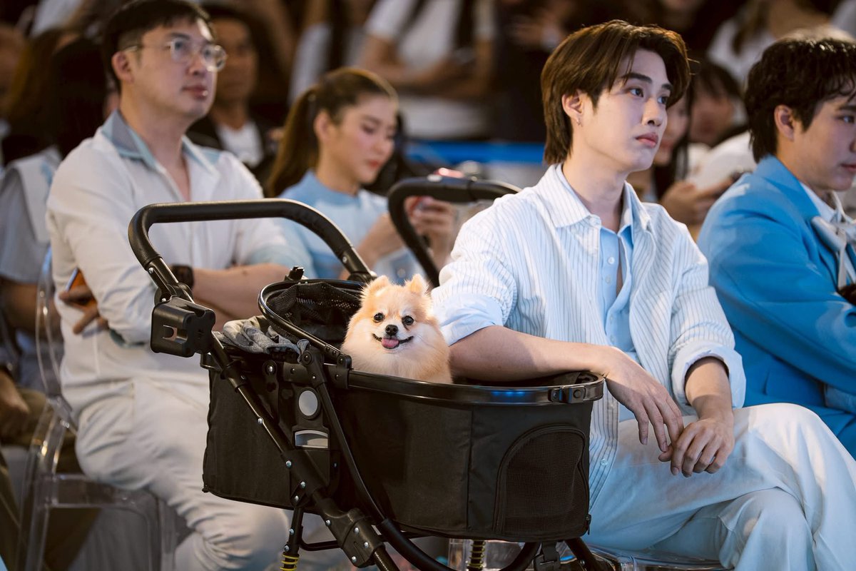 ps ૮ ․ ․ ྀིა tweet media