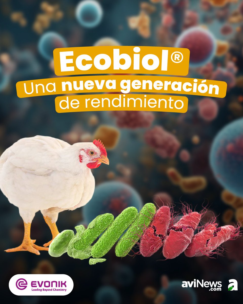 aviNews España - Revista tweet media