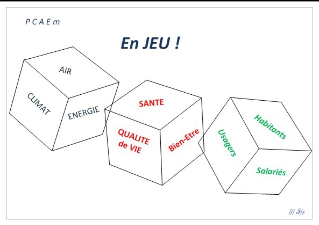 MetropolisInAsk tweet media