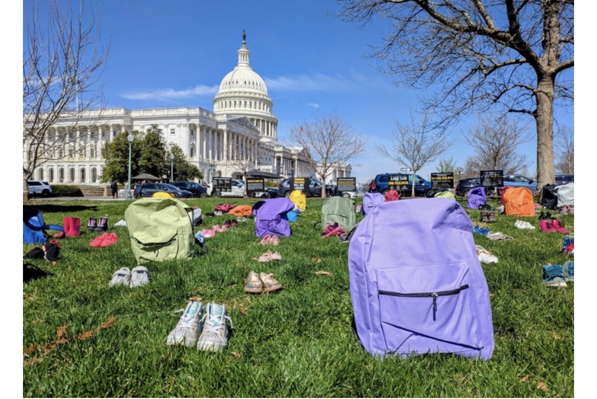 reza bakhtiari tweet media