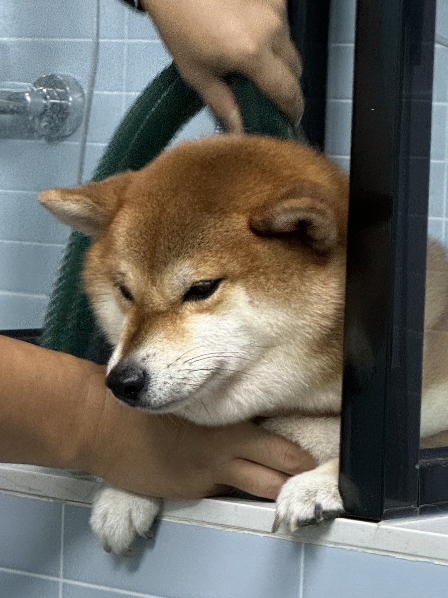 Pixels.AI tweet media