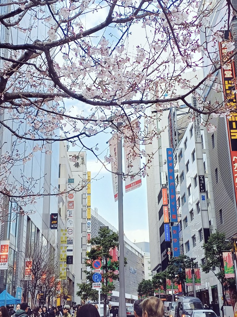 𝐋𝐞𝐱 tweet media