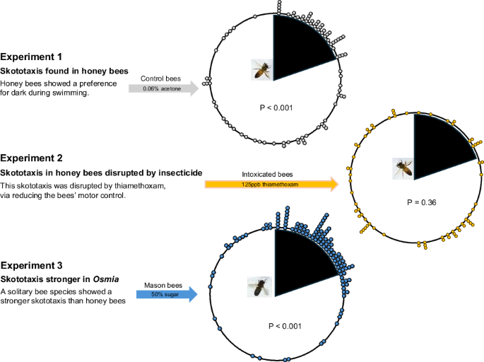 Communications Biology tweet media