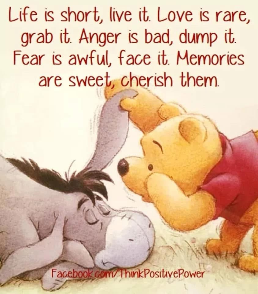 Carole Stukley YNWA ⭐️⭐️⭐️⭐️⭐️⭐️ tweet media