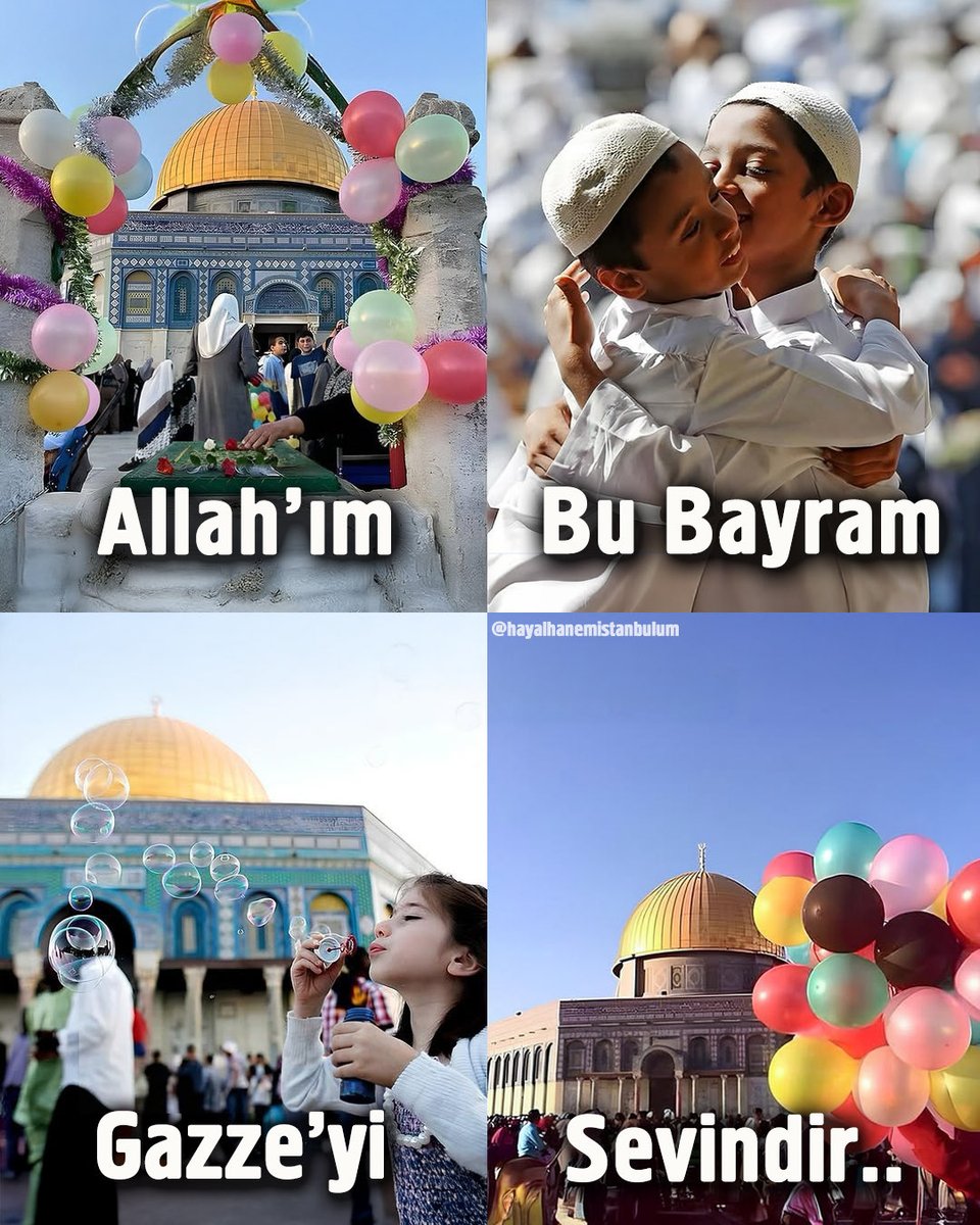 hayalhanemistan's tweet photo. https://t.co/Svm7i2PlR8