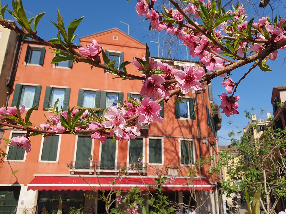 italyheaven 🇮🇹 Emily tweet media