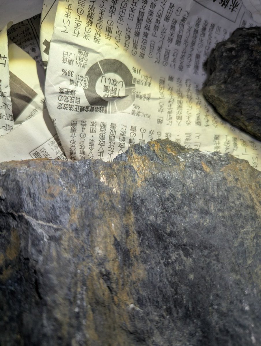 ちゅだ tweet media