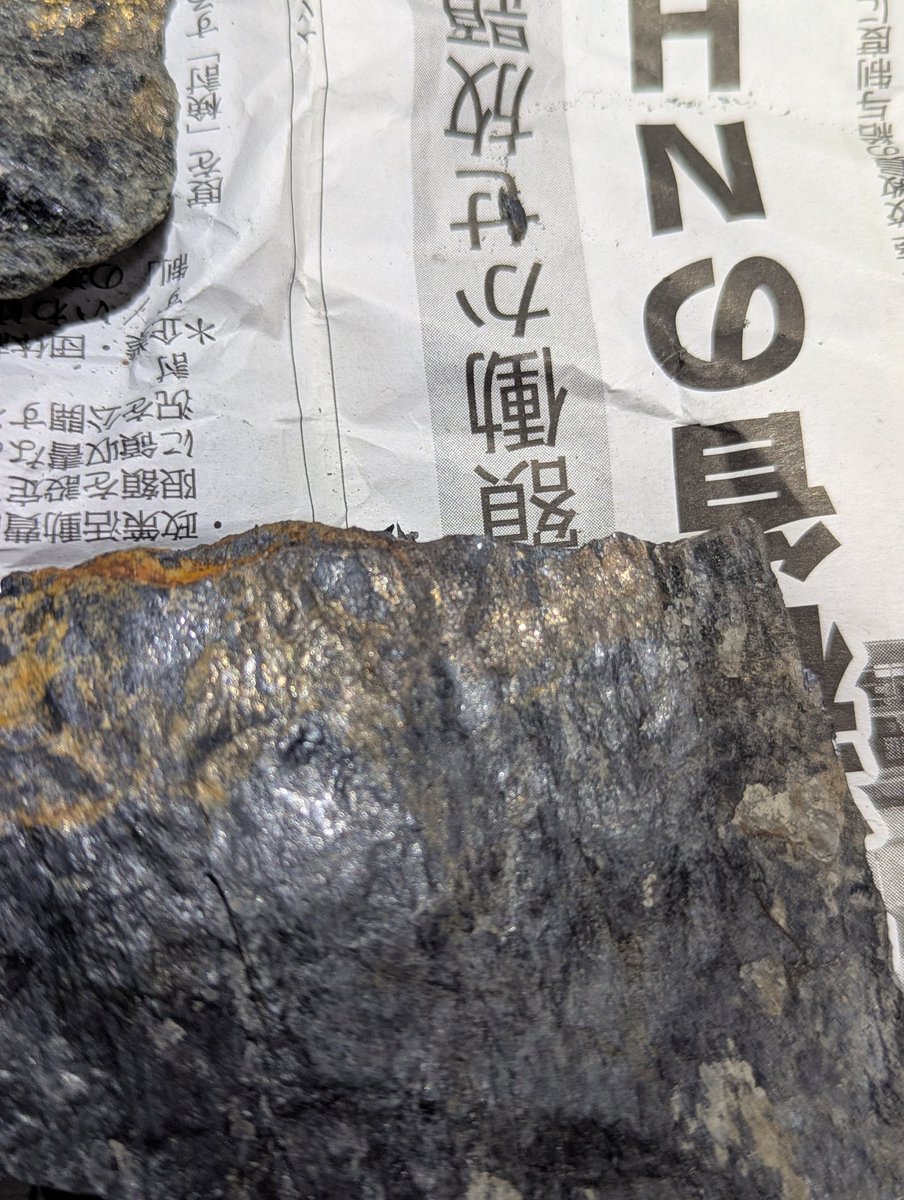 ちゅだ tweet media