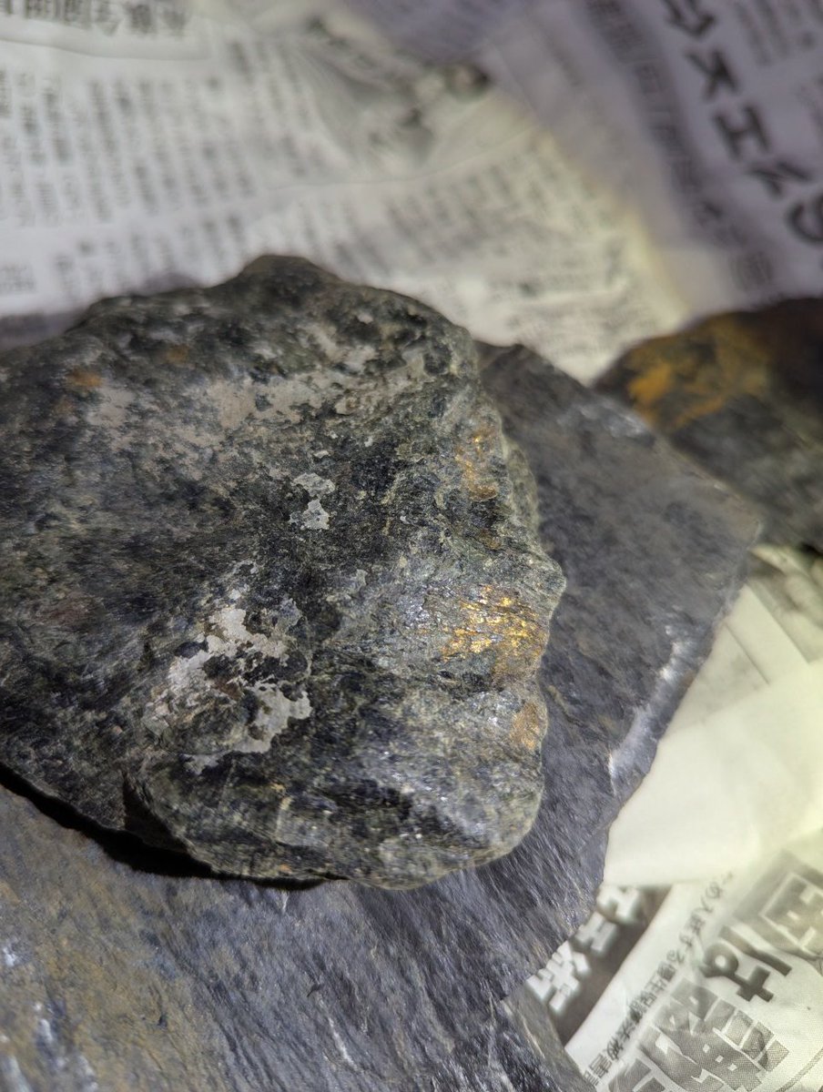 ちゅだ tweet media