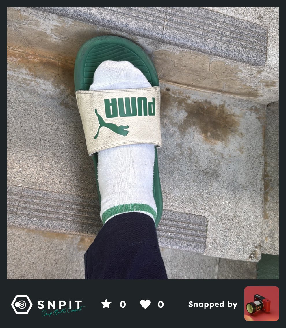 のすけ🌺 tweet media