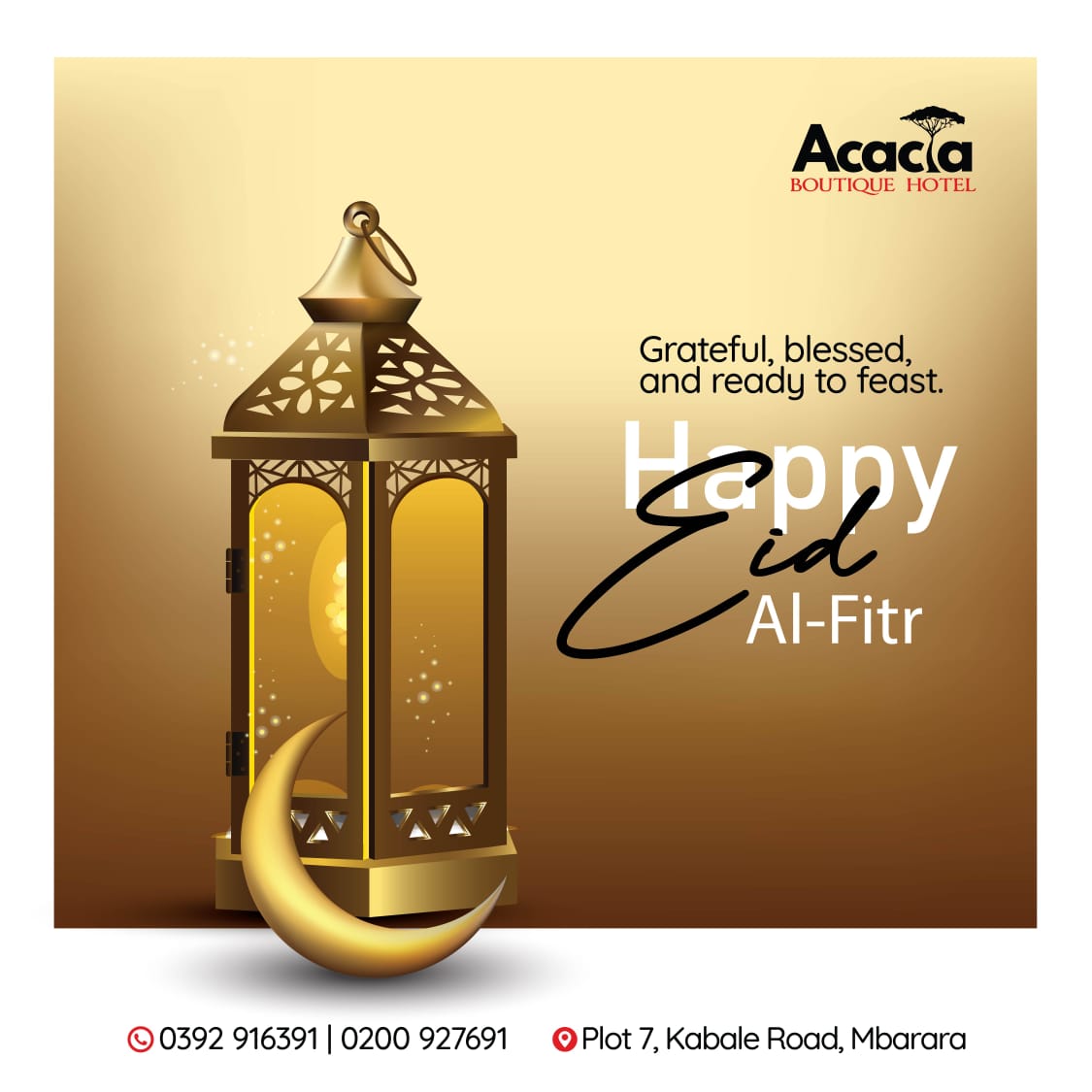 Acacia Boutique Hotel tweet media