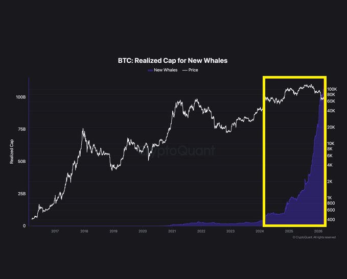 CryptosRus tweet media