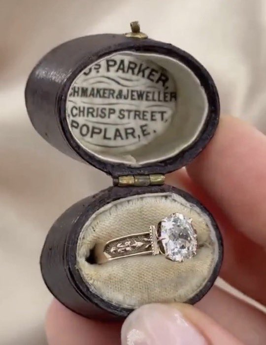 ℝ𝕚𝕡𝕡𝕖𝕣 tweet media