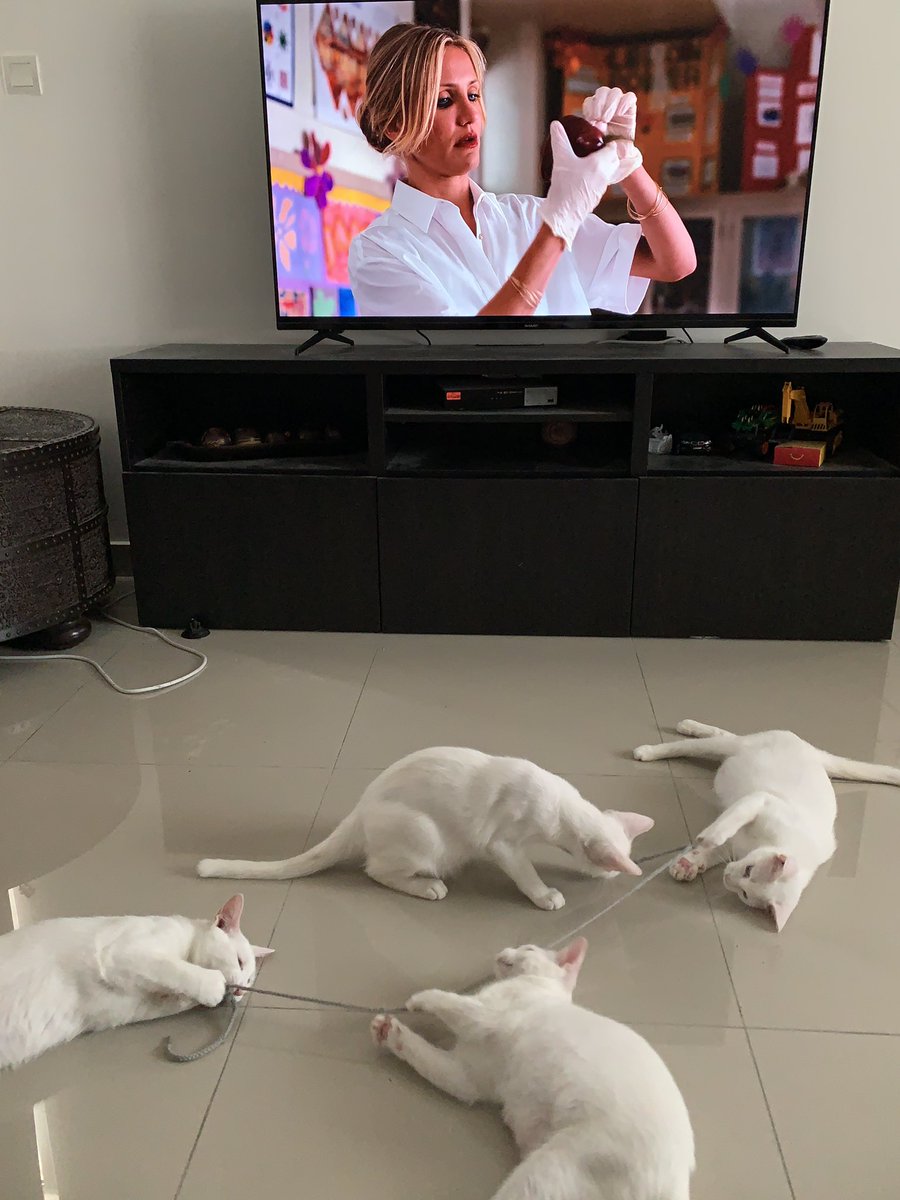 Nyla adoring Seb Stan 💫 tweet media