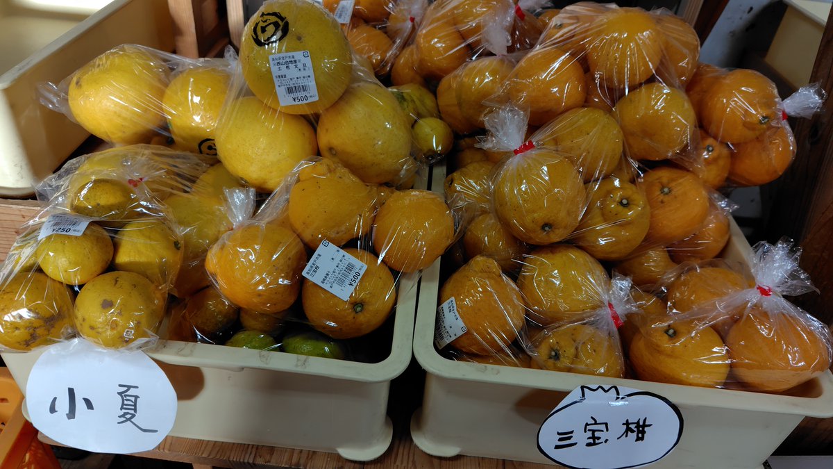 【高知県室戸市】道の駅キラメッセ室戸 tweet media