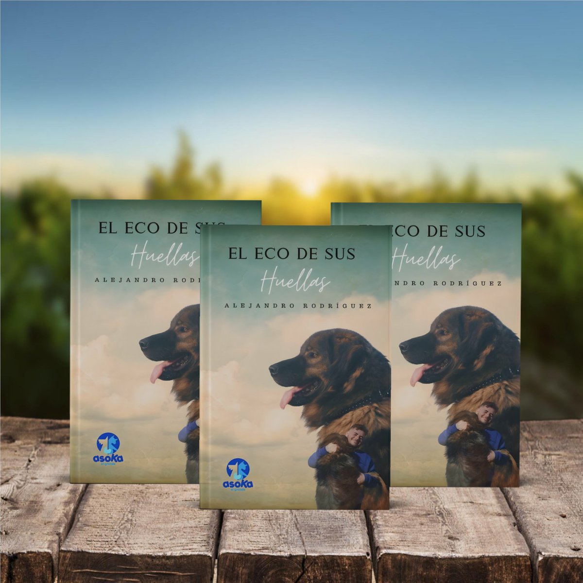 Servicios Editoriales a TU medida tweet media