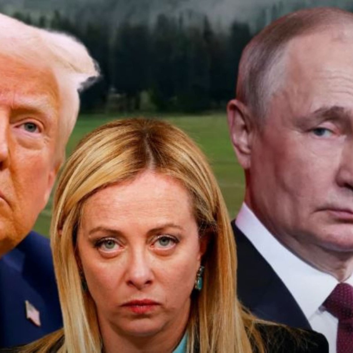 Sabrina F. tweet media