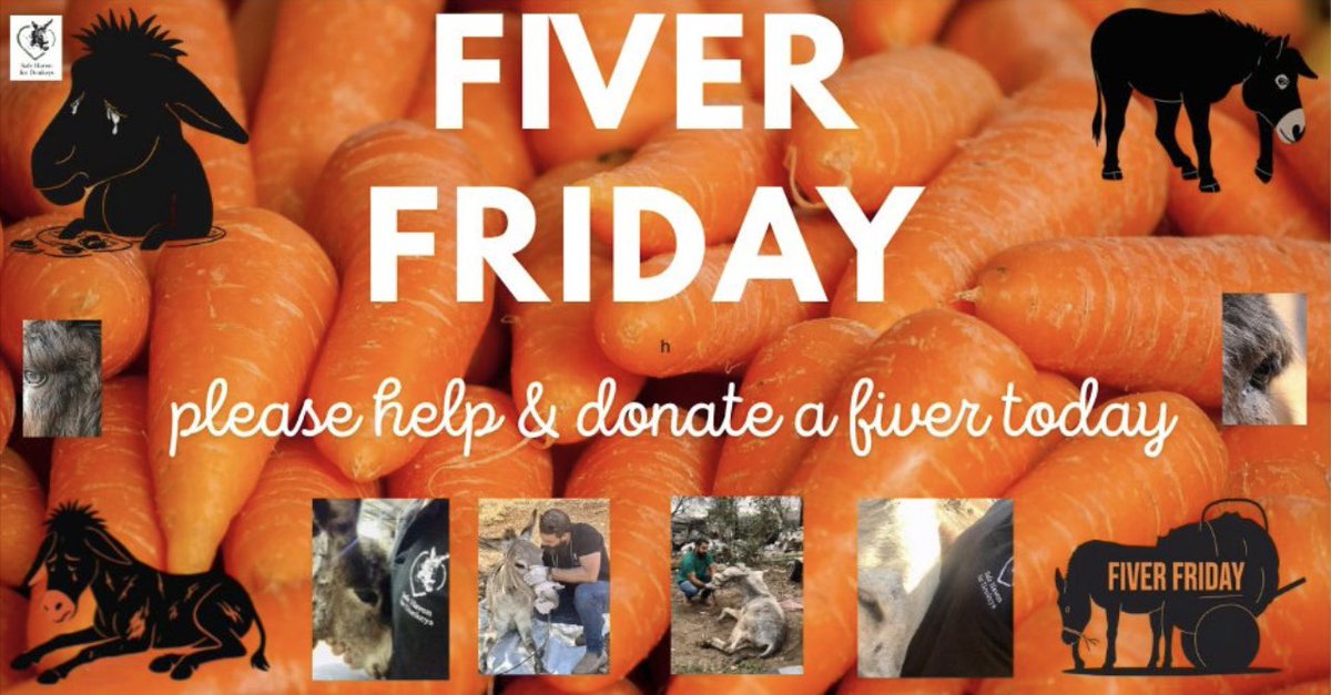 Safe Haven for Donkeys tweet media