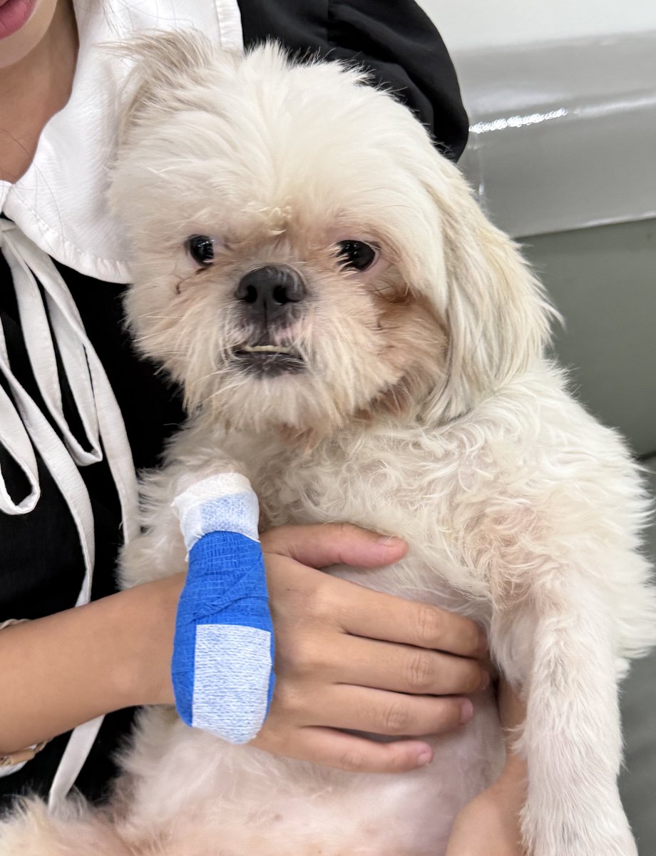 DNVP 💋 (Malonfamily) tweet media