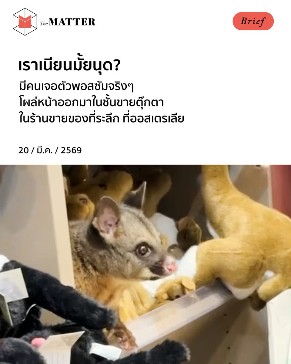 The MATTER tweet media