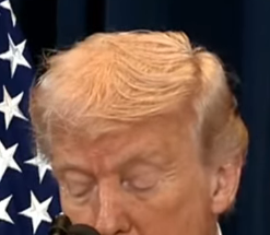 Dr Cryptonz tweet media