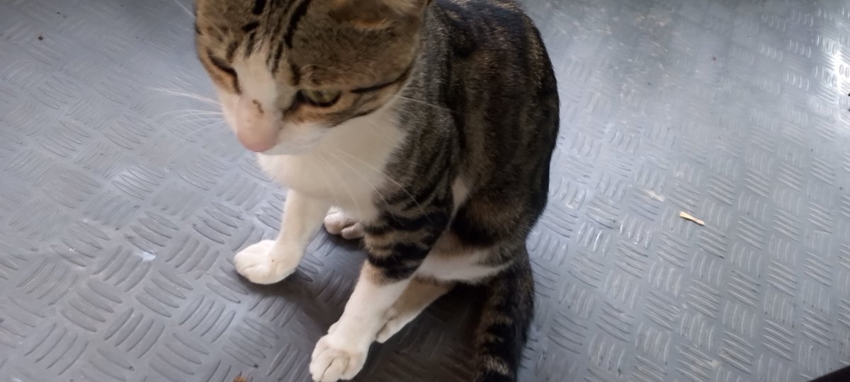 Newfarmer tweet media