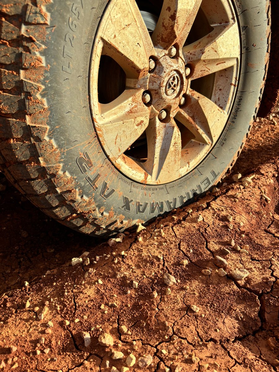 Gillian Fennell tweet media