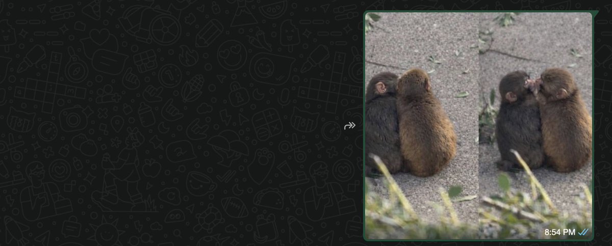 Paul Bertrand tweet media