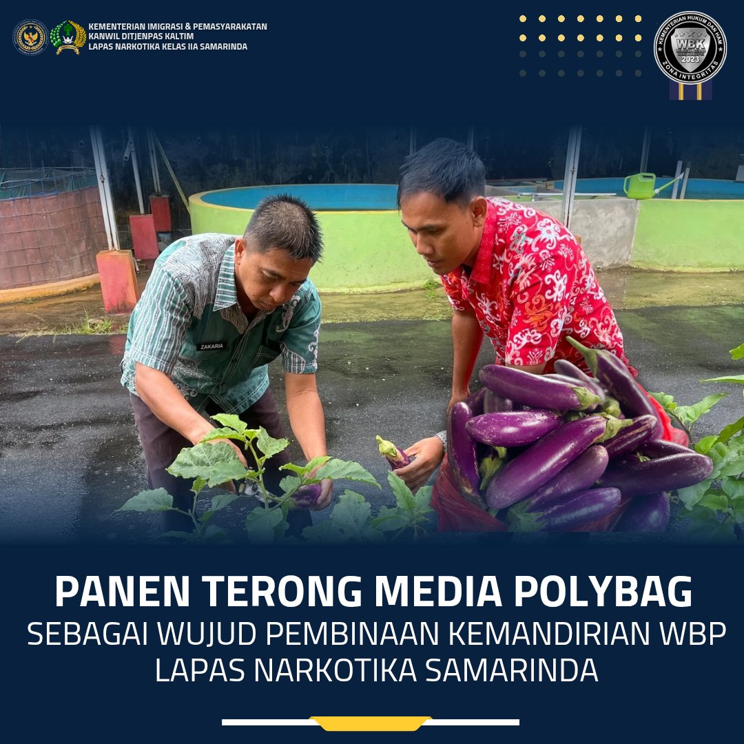lpnarkotika_smd's tweet image. Panen Terong Media Polybag sebagai Wujud Pembinaan Kemandirian WBP Lapas Narkotika Samarinda, Jumat (20/3)

#kemenimipas
#guardandguide
#infoimipas
#pemasyarakatan