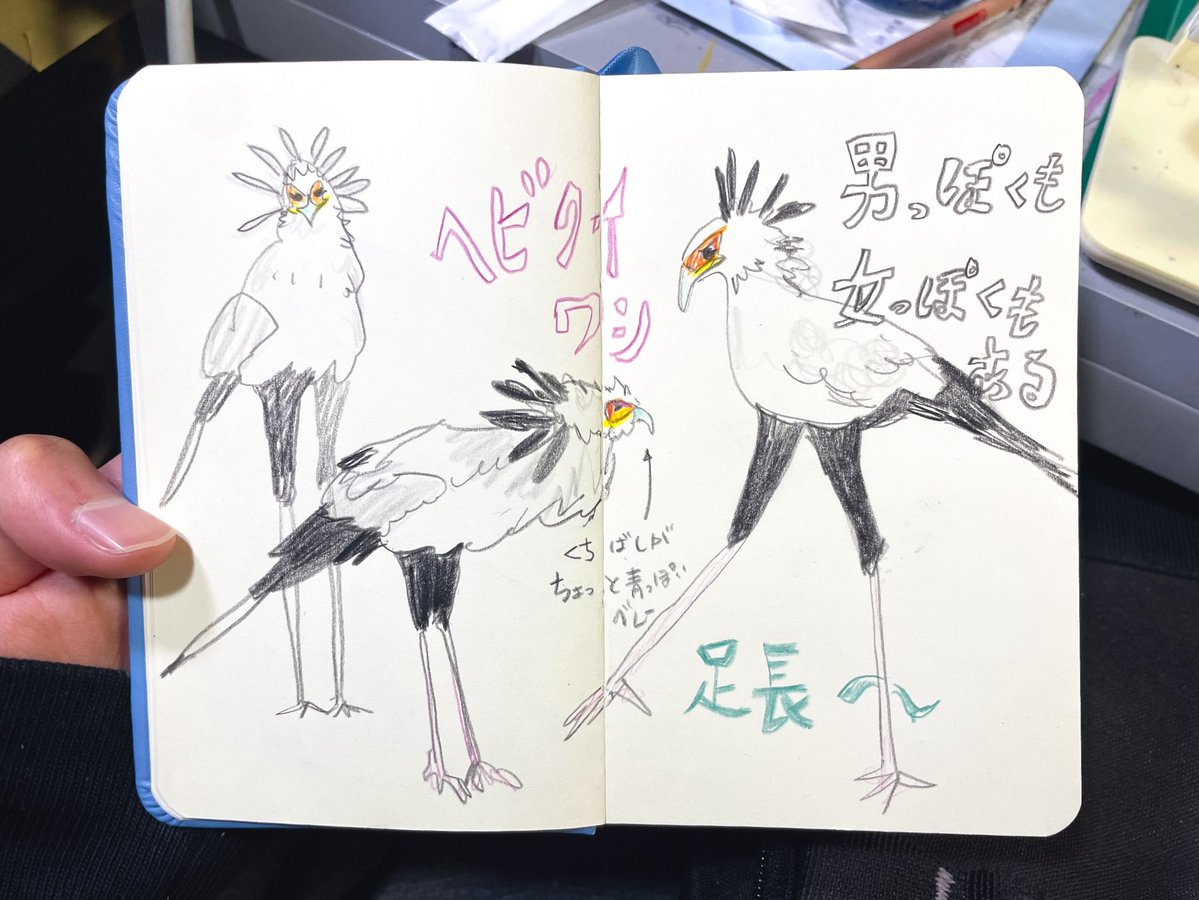 どすん tweet media