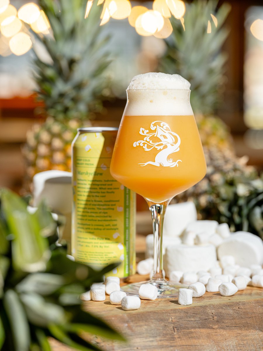 Tree House Brewing Co.🍺 tweet media