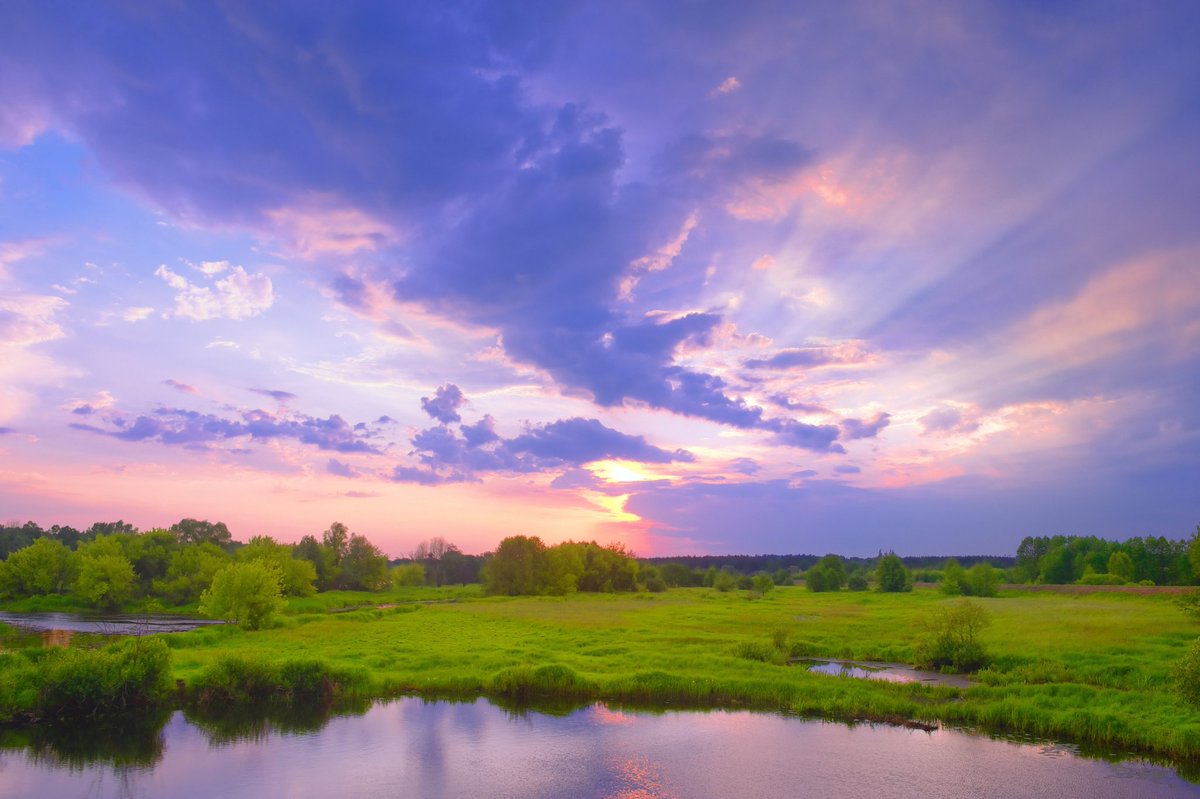 Saygor63 tweet media