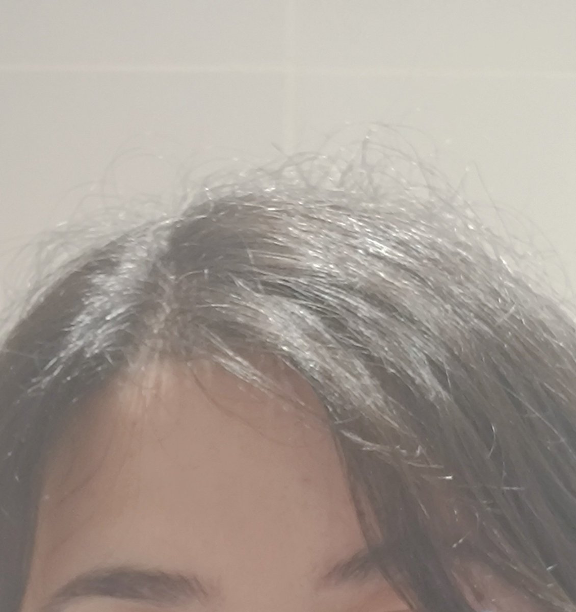 hasta el toto tweet media