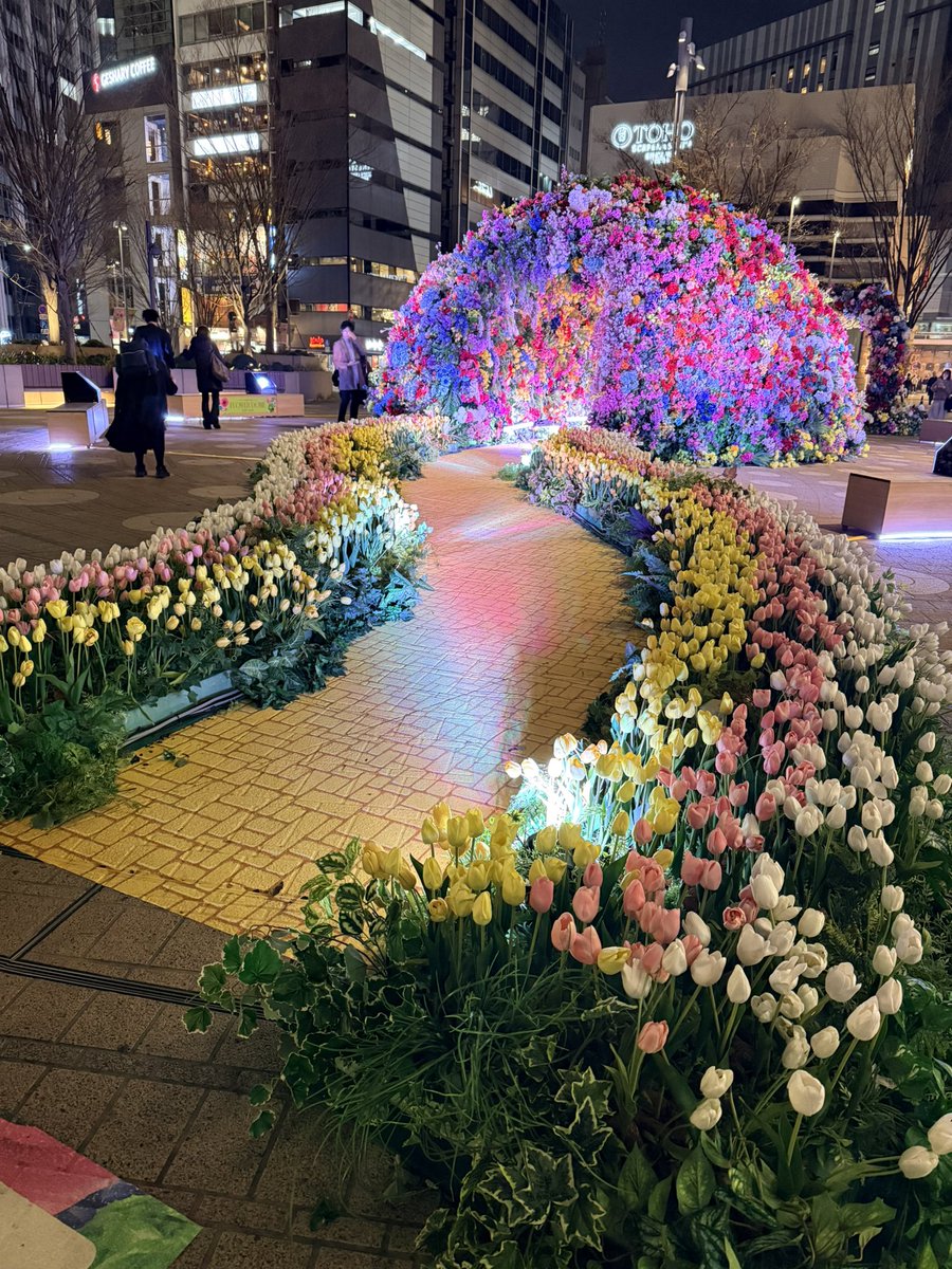 Priscilla tweet media