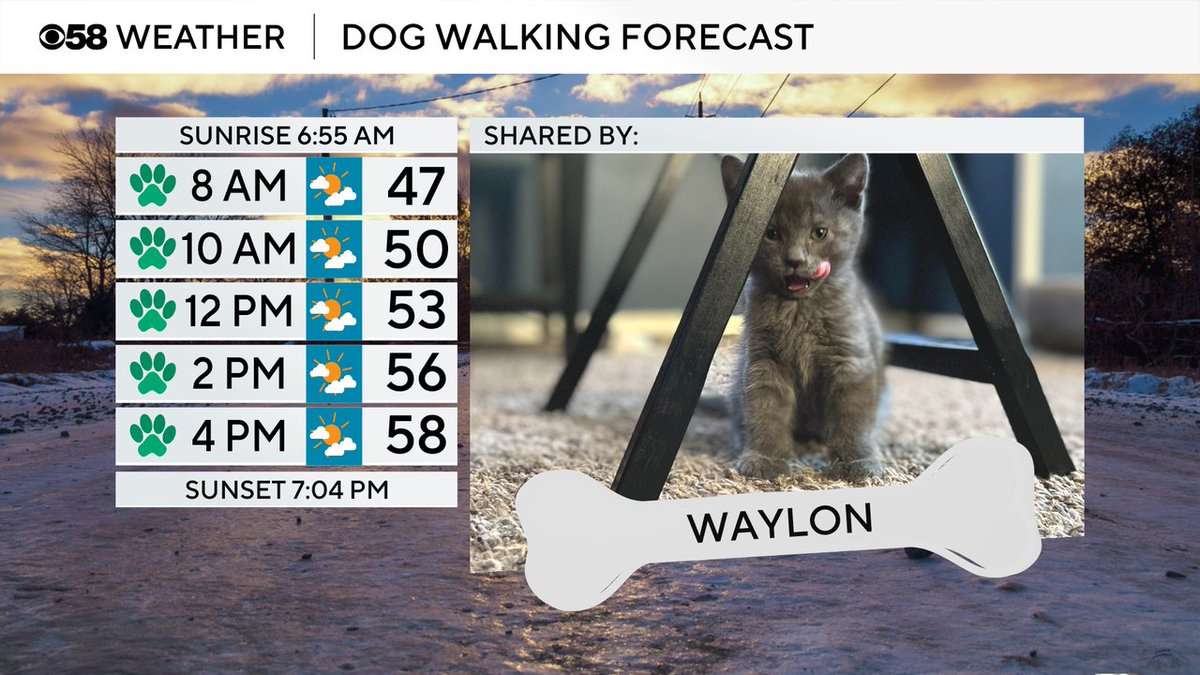 Justin Thompson-Gee tweet media