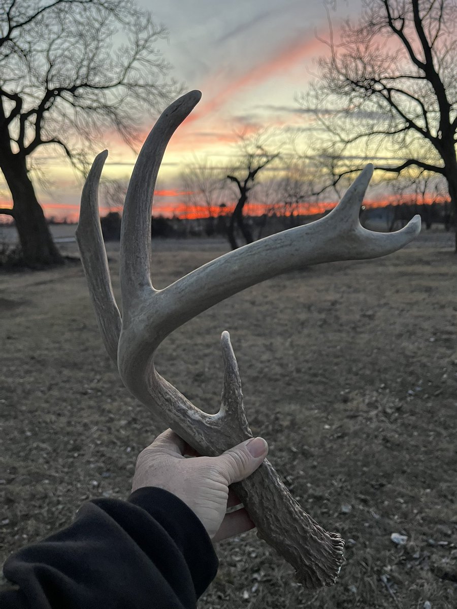 Dwayne Mathews tweet media