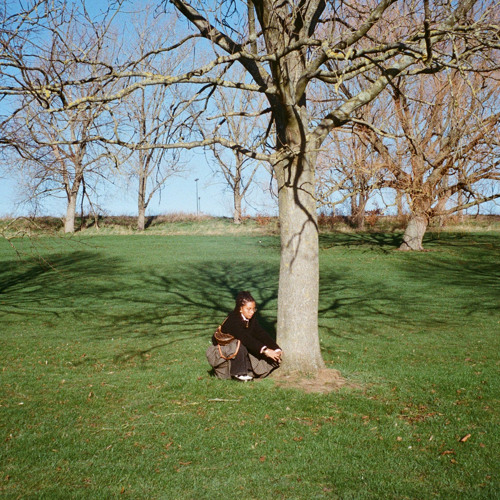 MusicInjections tweet media