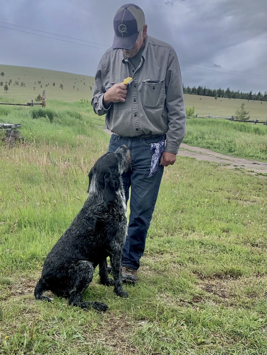 O'teach John tweet media