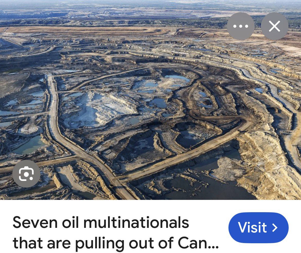 liberalsupporter tweet media