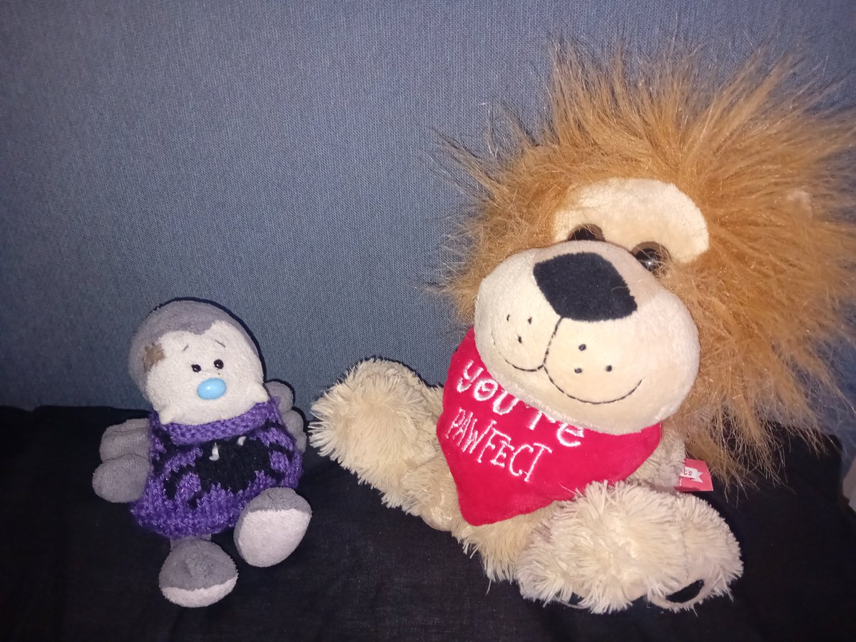 Webster the Spider tweet media