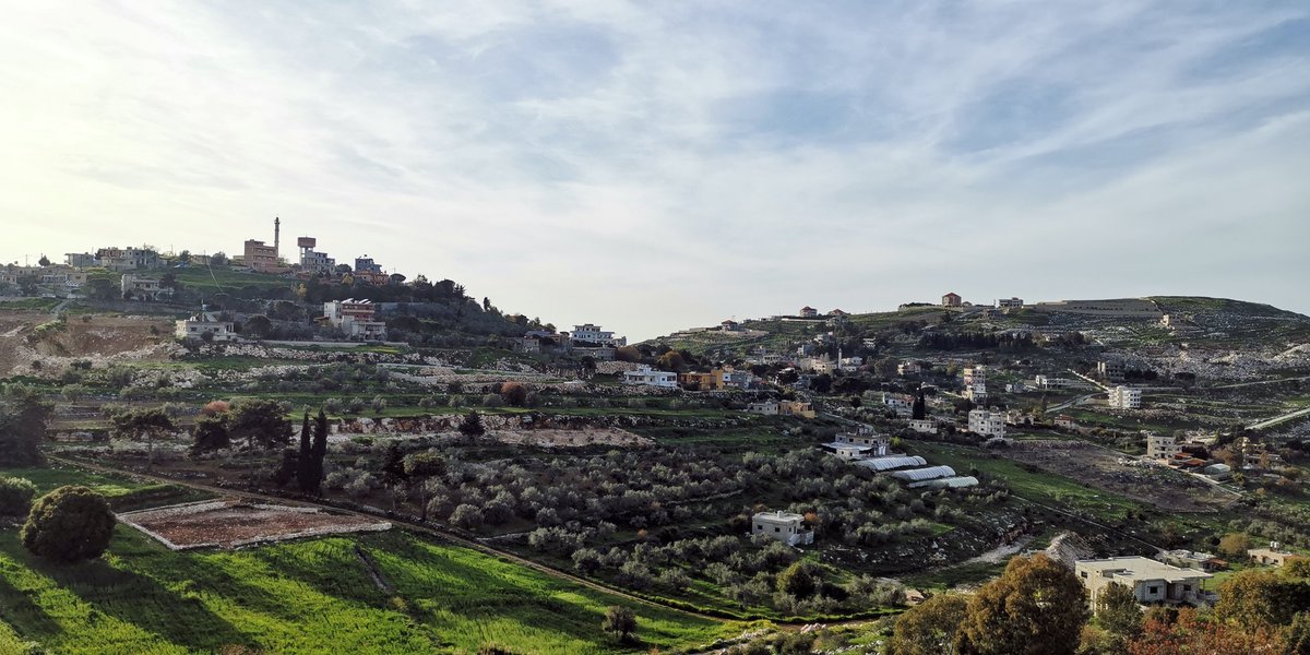 Ali Baraket tweet media