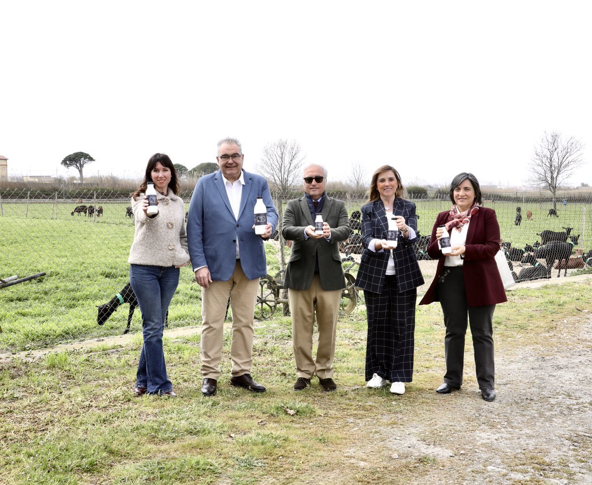 Aragón Alimentos tweet media