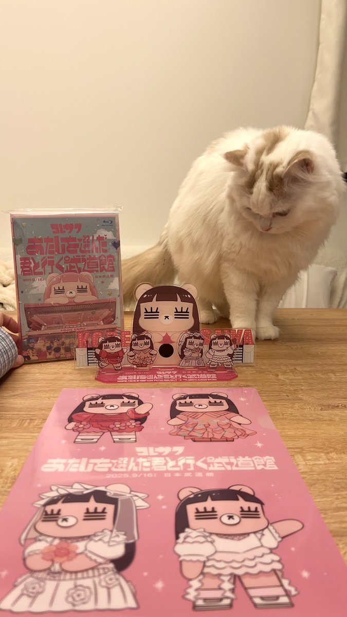 kore_nyan's tweet photo. げっちゅした😽❤️
#コレサワ
#あたしを選んだ君と行く武道館 https://t.co/xPyGDH5kCO