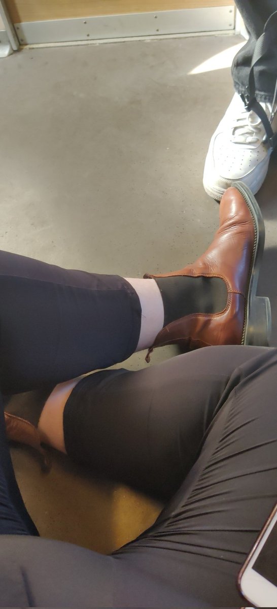 • Anna’s Adventures • tweet media